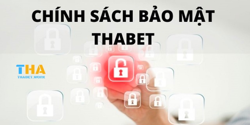 Chính sách bảo mật cấp cao tại Thabet