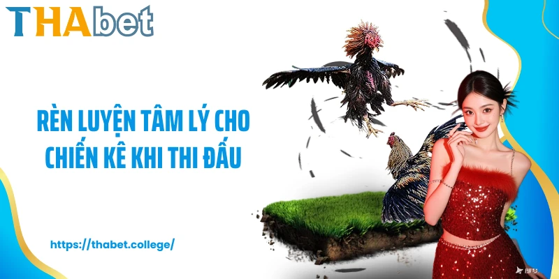 Rèn luyện tâm lý cho chiến kê khi thi đấu